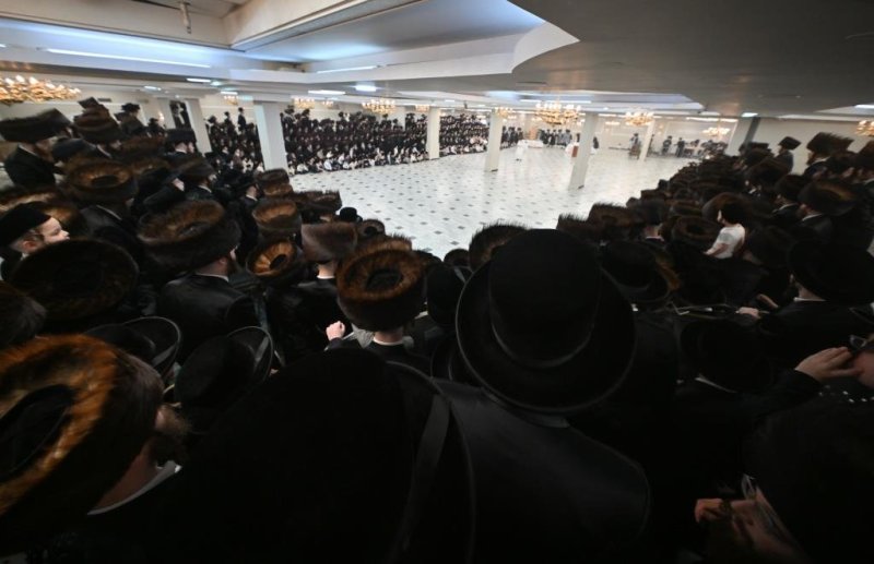 יהושע פרוכטר