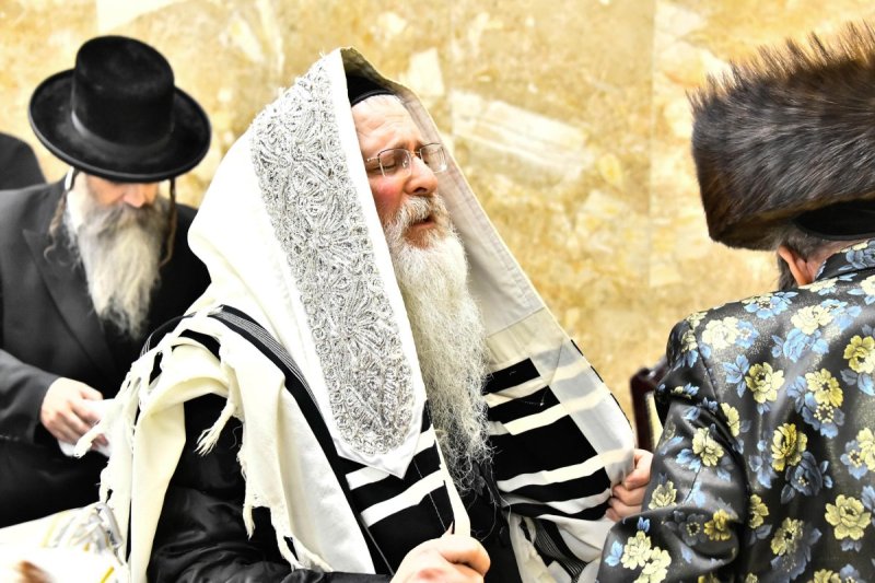 שוקי לרר
