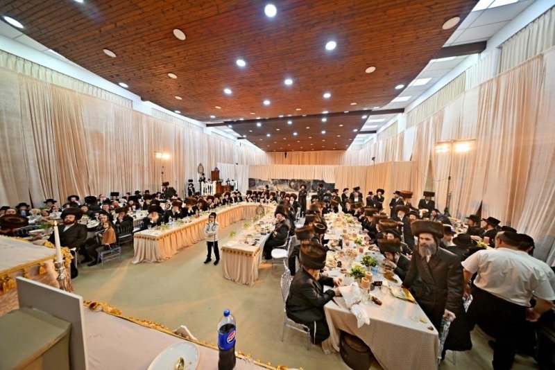 יהושע פרוכטר