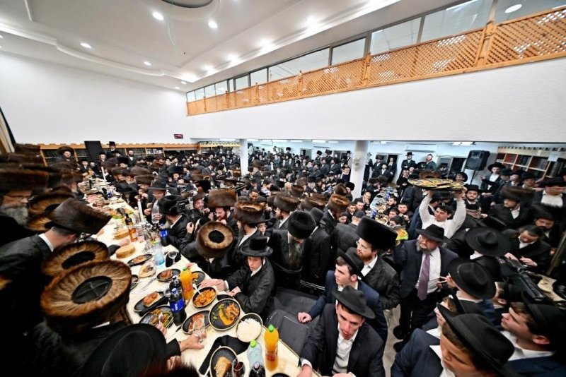 יהושע פרוכטר