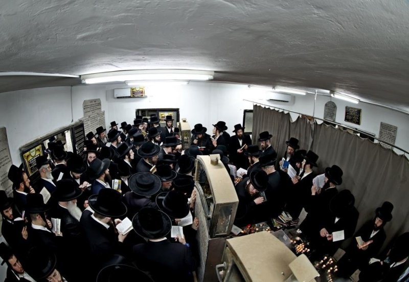 יהושע פרוכטר