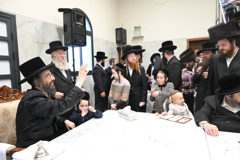 שימי פ.