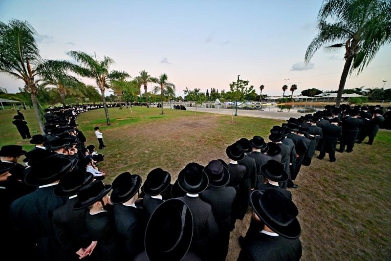 יהושע פרוכטר