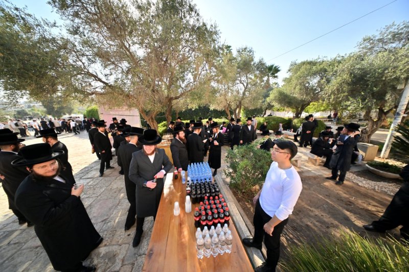 יהושע פרוכטר