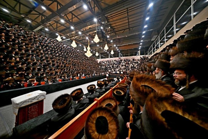 יהושע פרוכטר