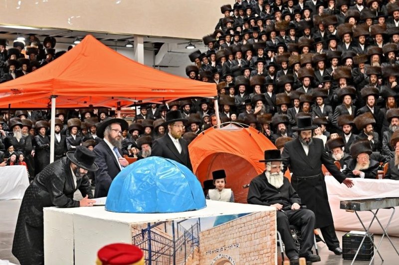 יהושע פרוכטר