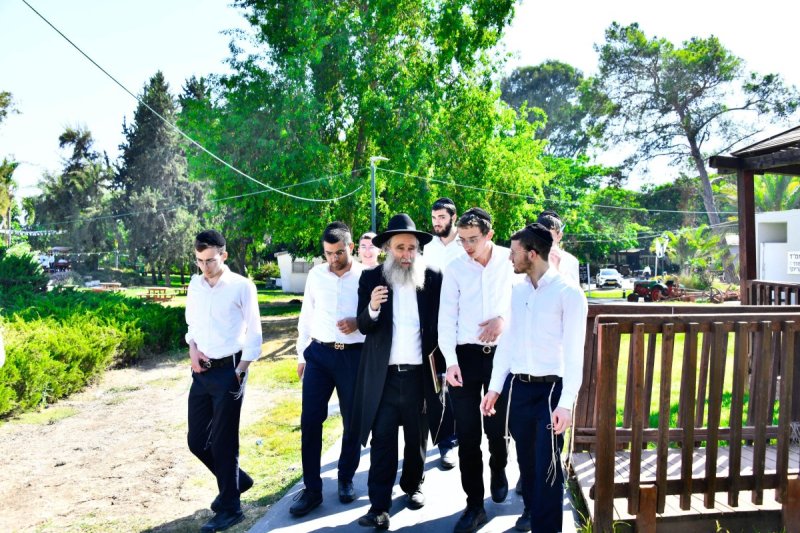 שוקי לרר