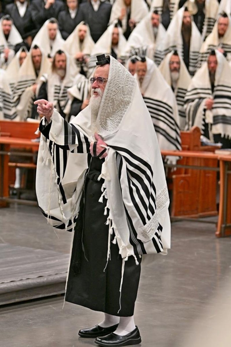 יהושע פרוכטר