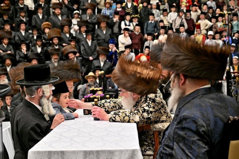 יהושע פרוכטר