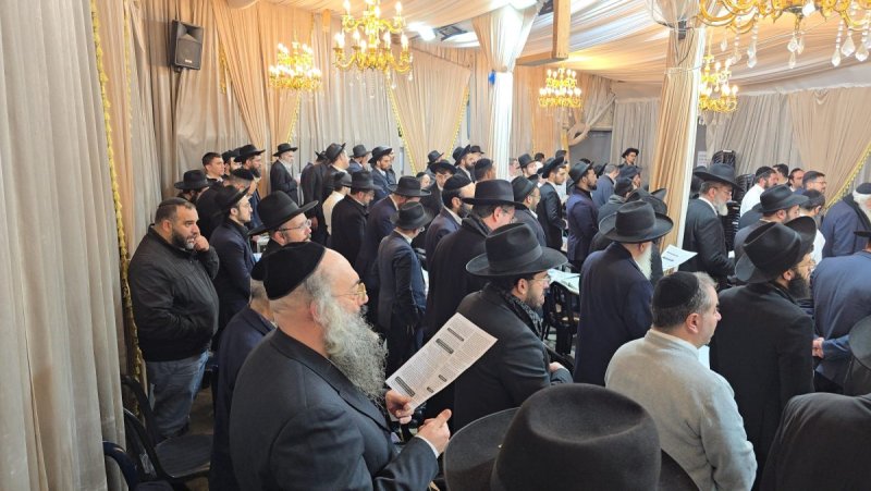 באדיבות המצלם