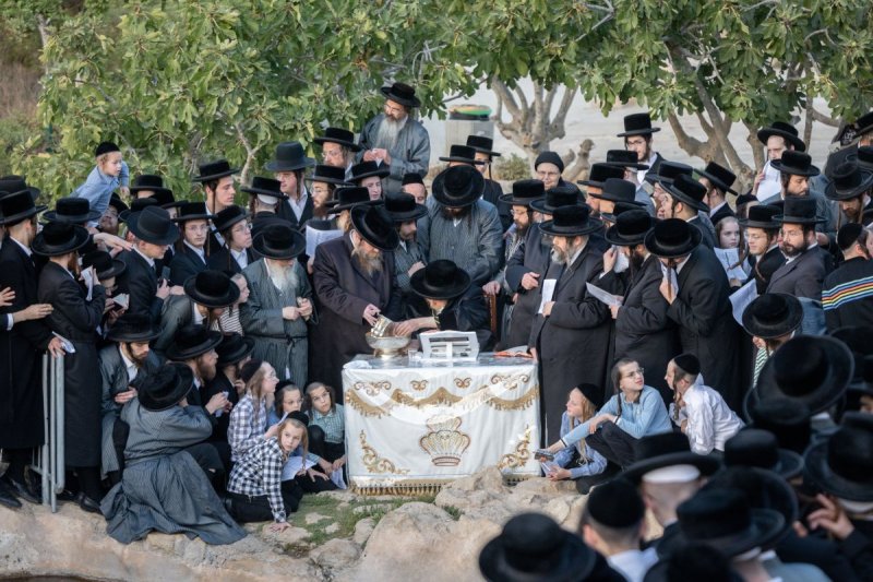 חיים גולדברג - פלאש 90