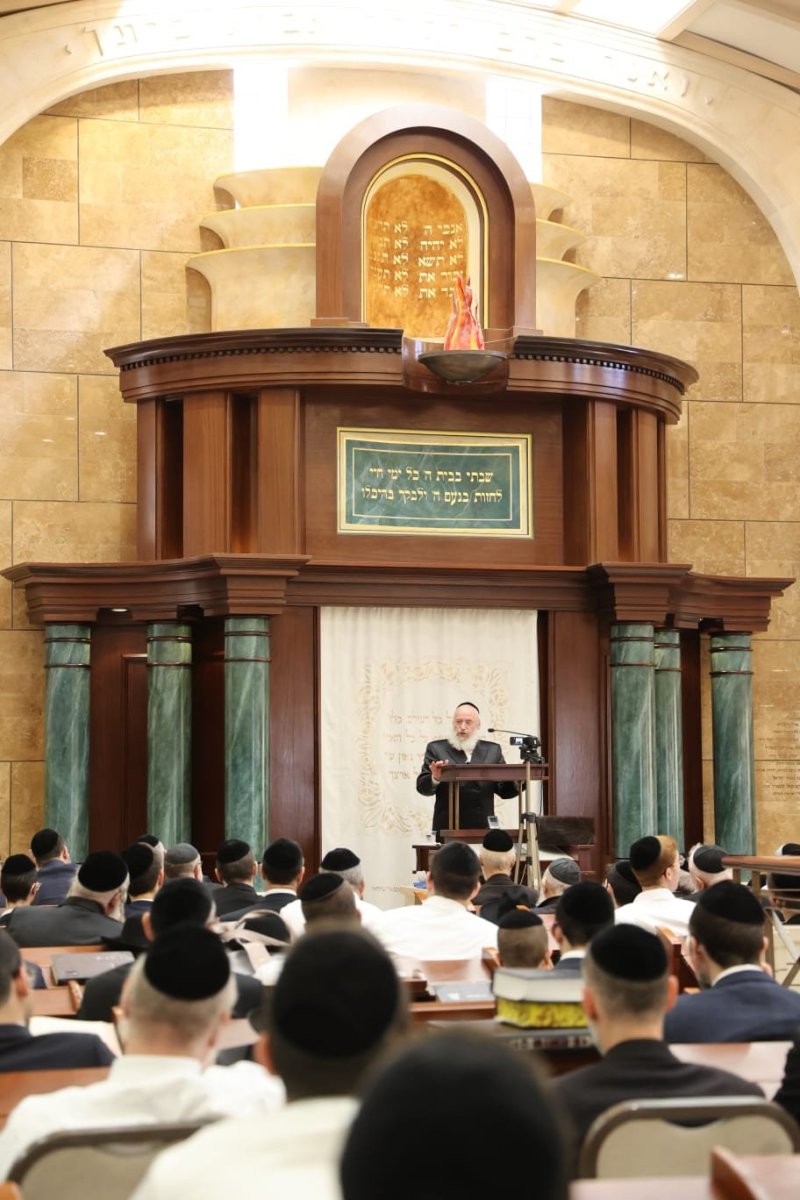 שלומי טריכטר