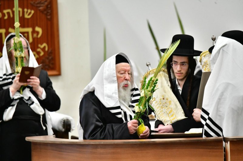 שוקי לרר
