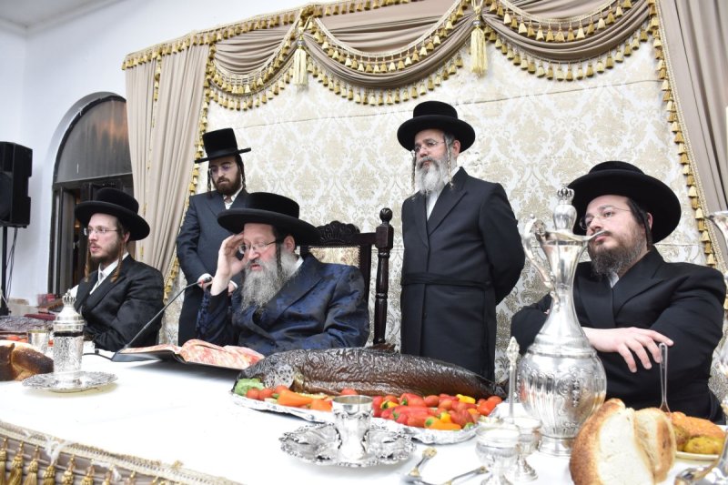 יהודה פרקוביץ