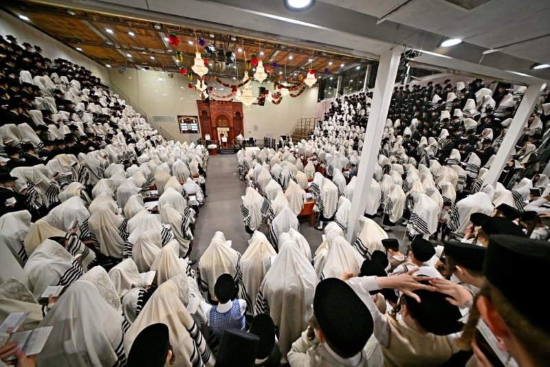 יהושע פרוכטר