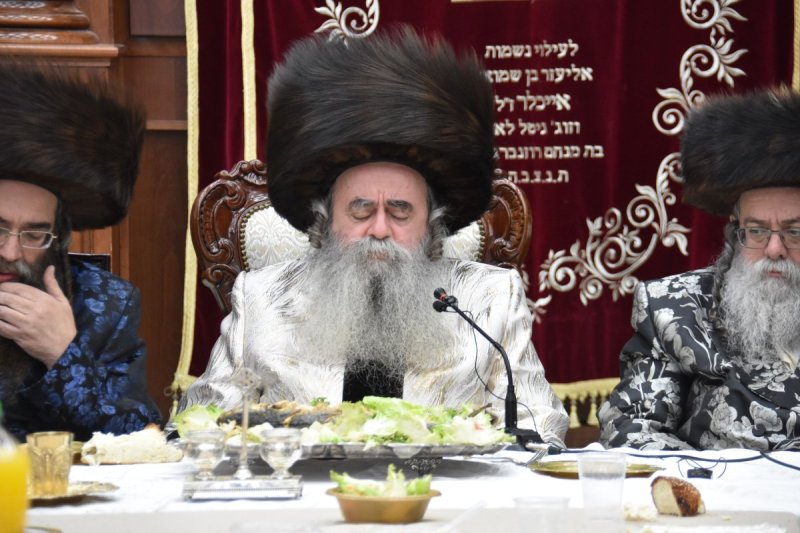 יהודה פרקוביץ