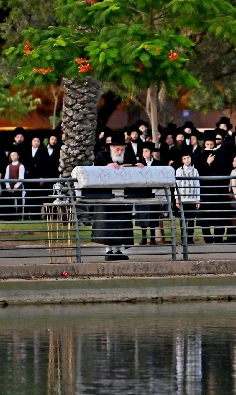 יהושע פרוכטר