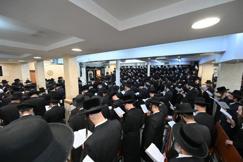 באדיבות המצלם