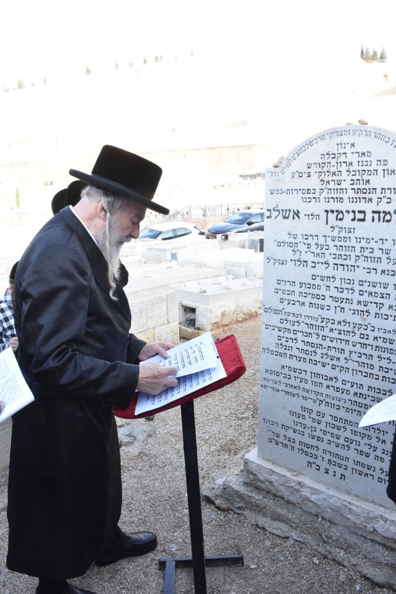 יהודה פרקוביץ