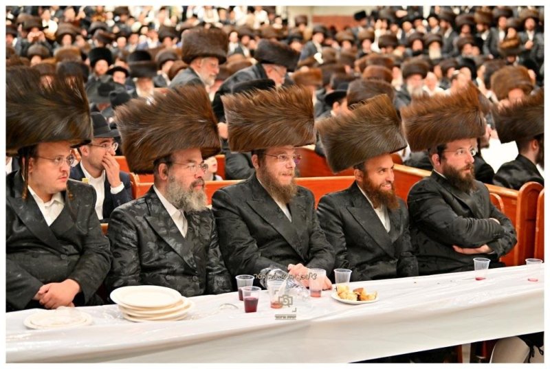 יהושע פרוכטר