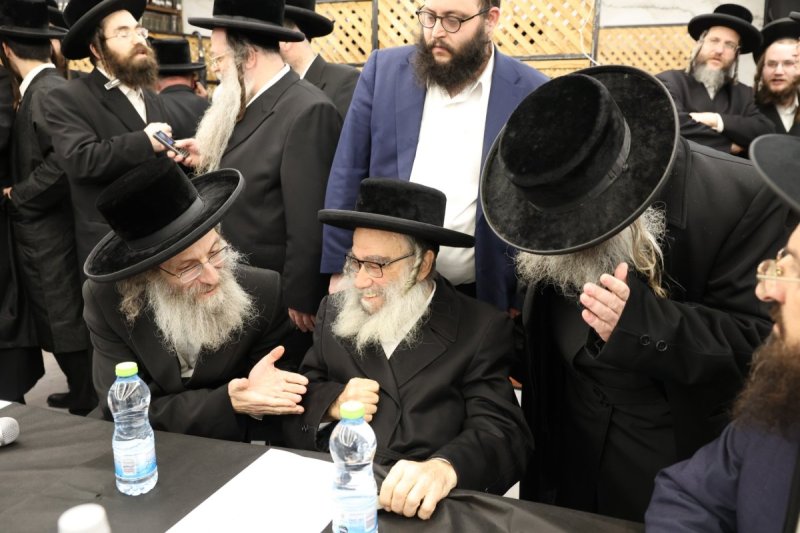 קובי הר צבי