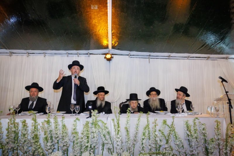 דניאל נפוסי ומאיר זלזניק