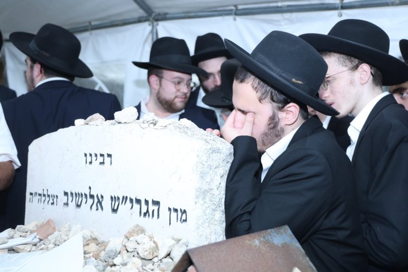 שלומי טריכטר
