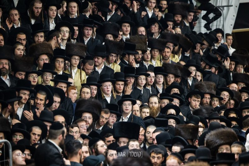 מענדי קוטלר