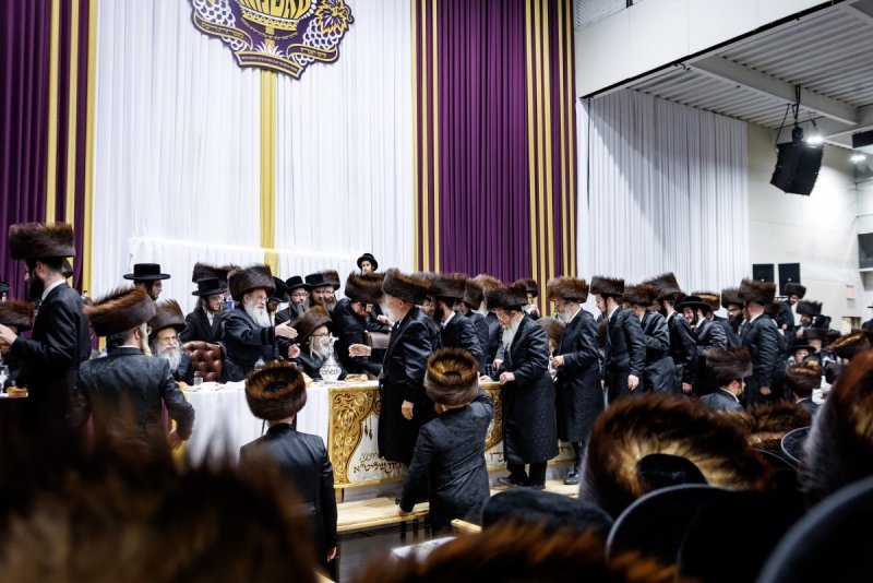 יוסי גולדברגר