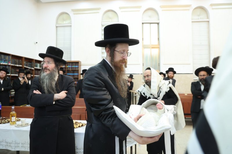 שלומי טריכטר