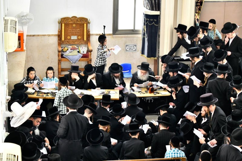 שוקי לרר