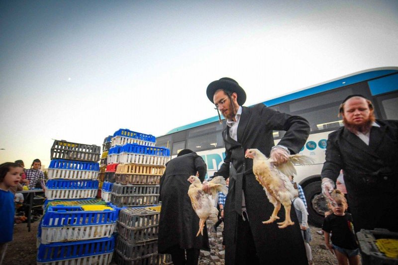 ארי קופרשטוק