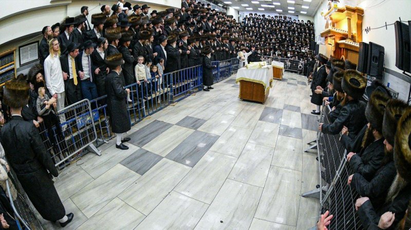 דוד ארזני וארי קופרשטוק