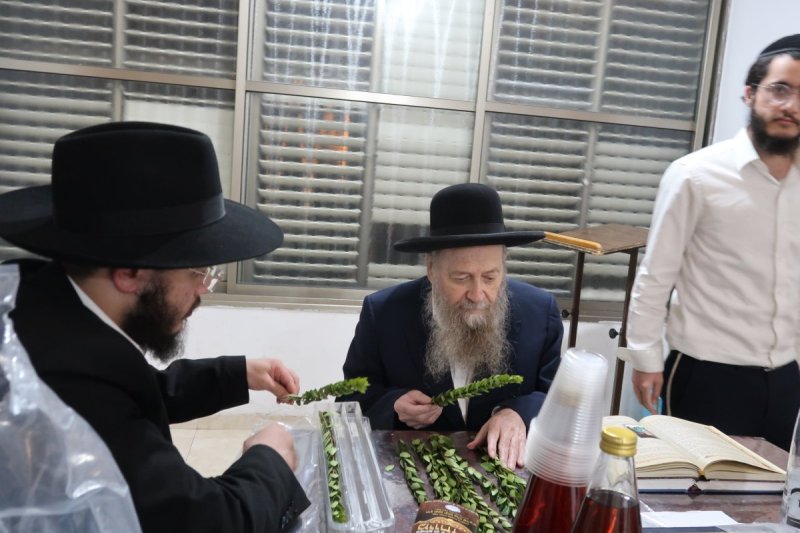 י. פריד