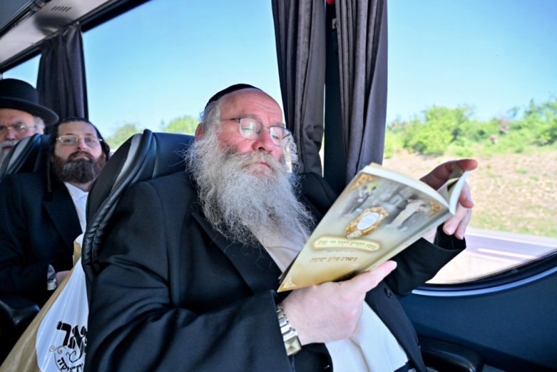 יהושע פרוכטר