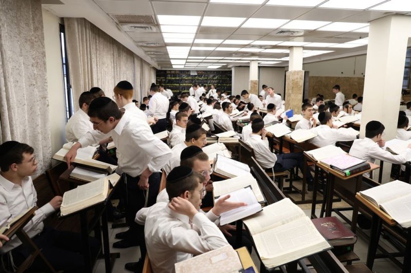 נתי פרל