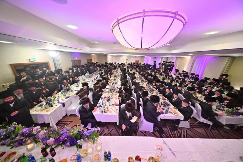 יהושע פרוכטר