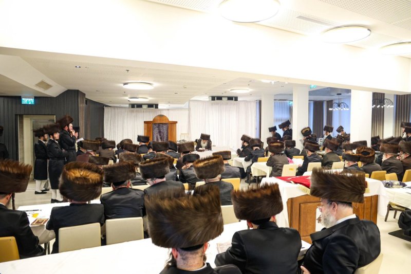 שלומי טריכטר