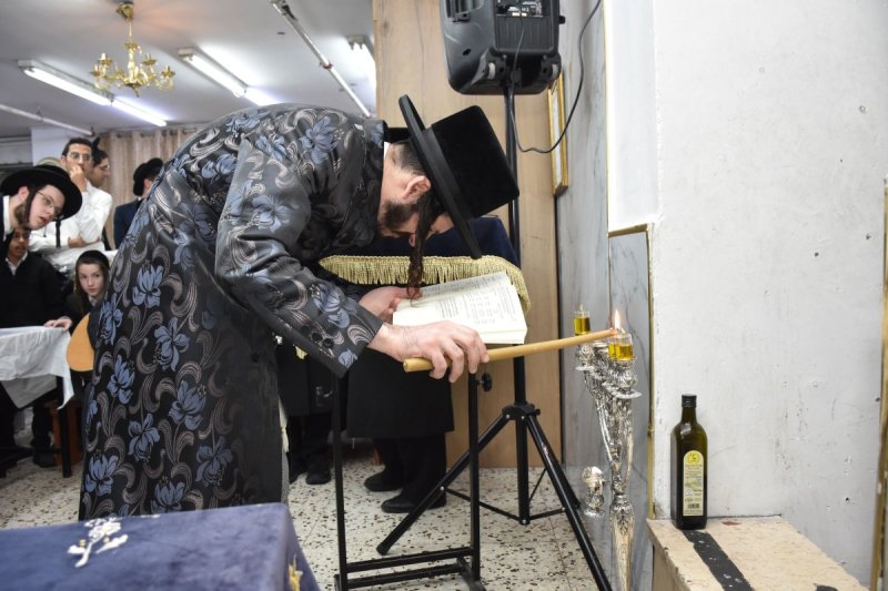 יהודה פרקוביץ