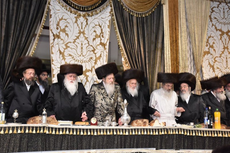 יהודה פרקוביץ