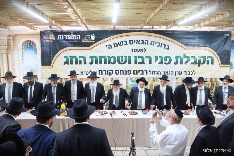 אלנתן אלוני