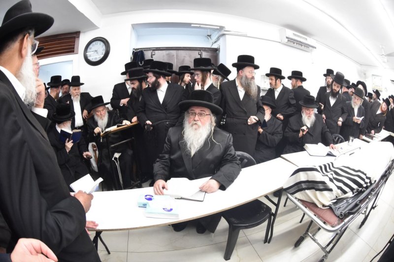 יהודה פרקוביץ