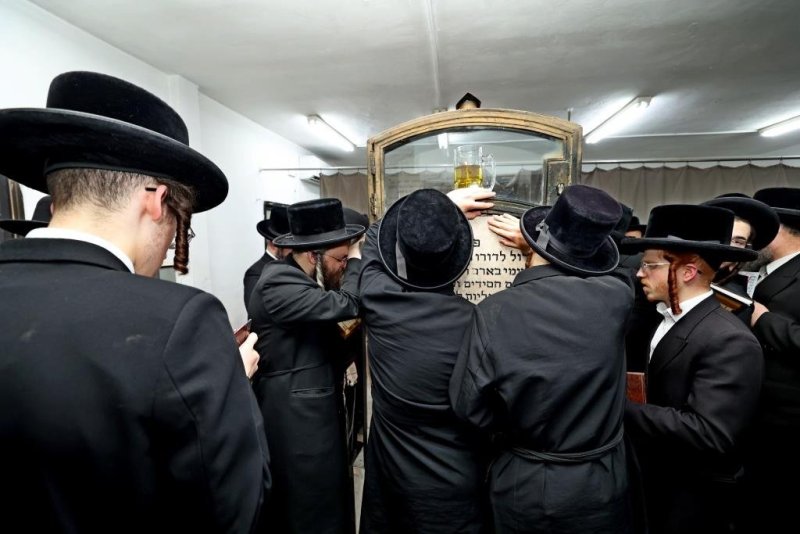 יהושע פרוכטר