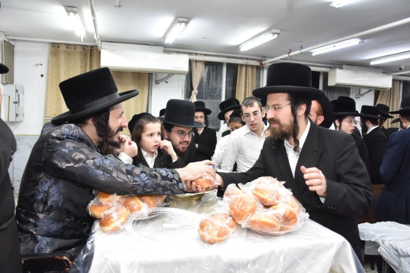 יהודה פרקוביץ