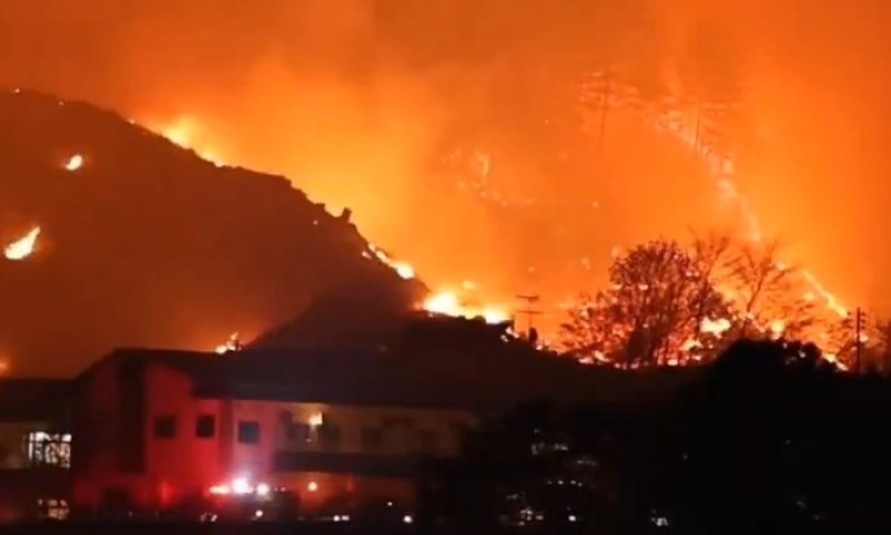 צפו: שריפת יער ענקית משתוללת במחוז איווטה שביפן