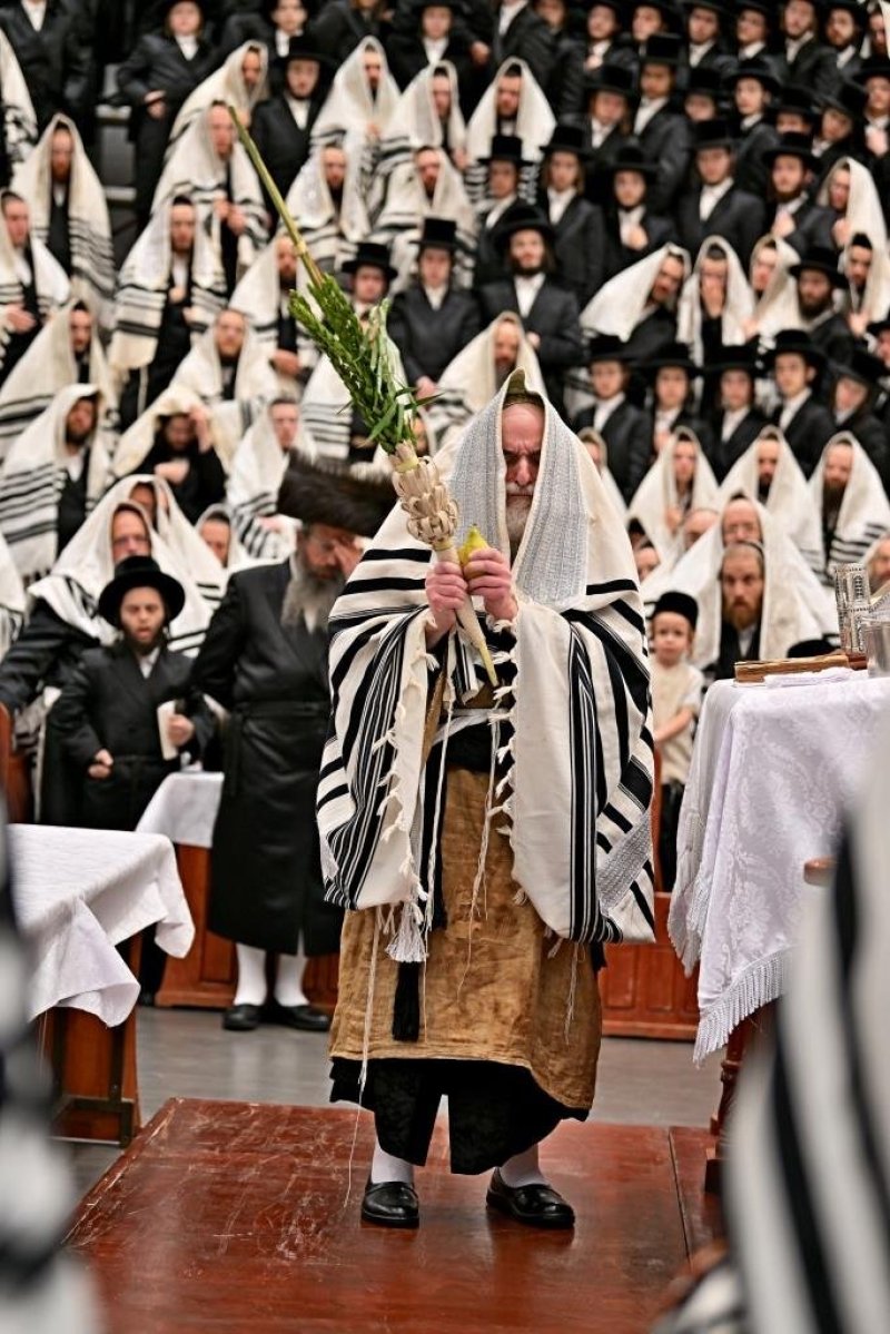 יהושע פרוכטר