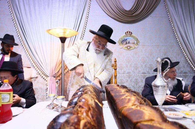 ים לביא