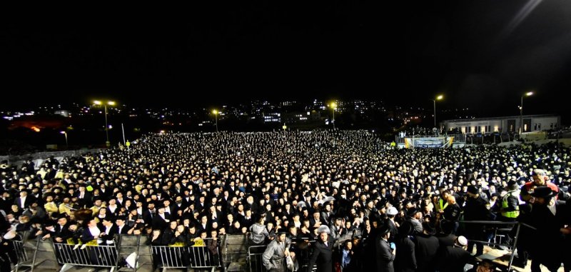 שוקי לרר