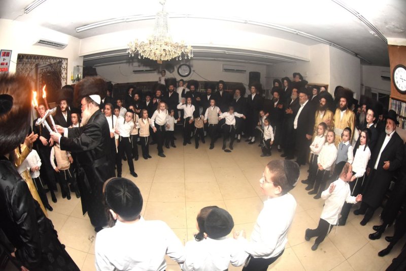 יהודה פרקוביץ