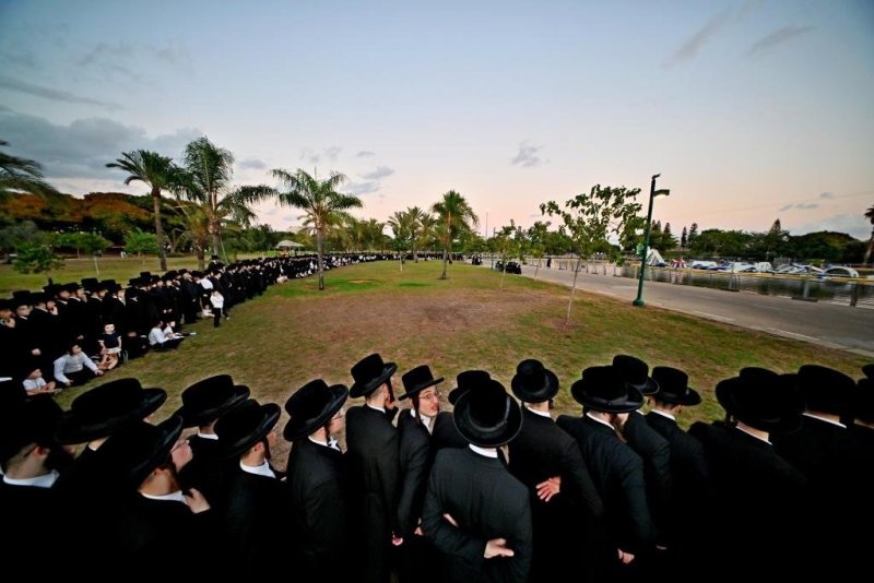 יהושע פרוכטר